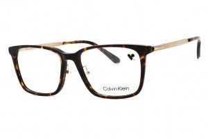 CK21534A